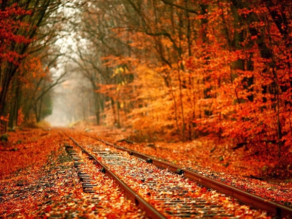 Herfst